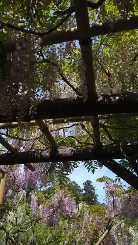 歌泉堂（春日大社神苑萬葉植物園内鎮座）(奈良県)