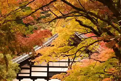 南禅寺(京都府)