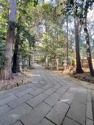 駒木諏訪神社(千葉県)