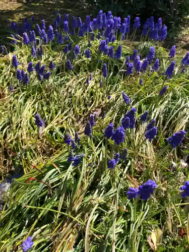 境香取神社の自然