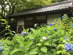 明月院の建物その他