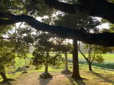 面足神社(千葉県)
