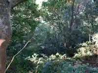 浅間神社のその他建物