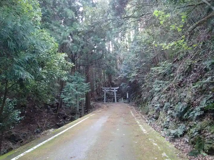 島大国魂神社の鳥居