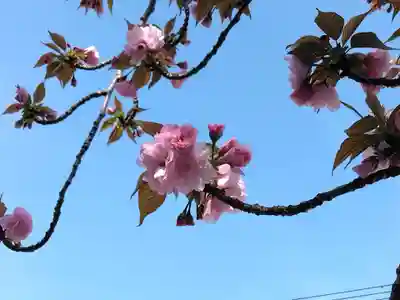萬福寺(神奈川県)