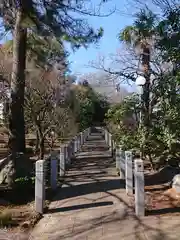 観蔵院 曼荼羅寺の建物その他