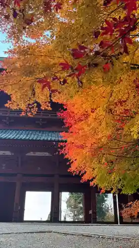 高野山金剛峯寺奥の院(和歌山県)
