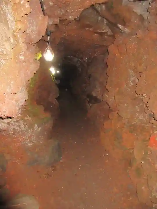 無戸室浅間神社(船津胎内神社)の自然