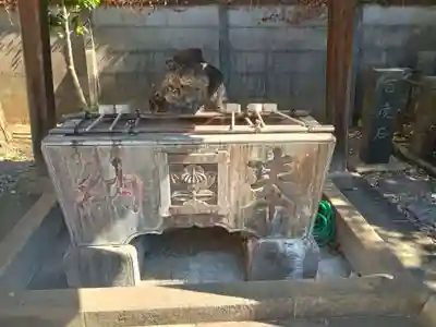 飯匙祖師堂/東京七面山(東京都)