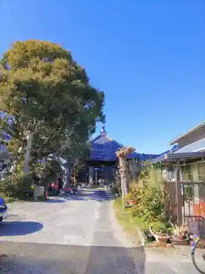 勝福寺の本殿・本堂