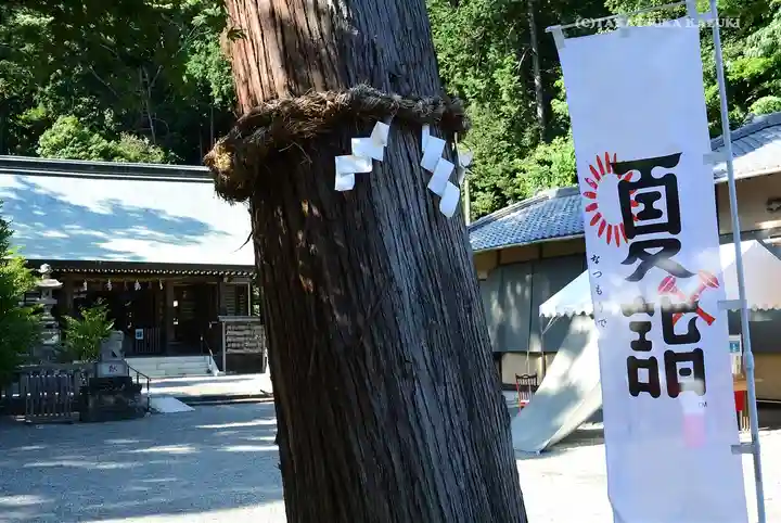 川勾神社の自然