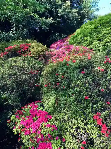 護国寺の庭園