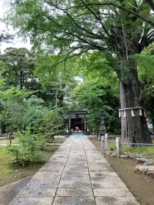 赤坂氷川神社のその他建物