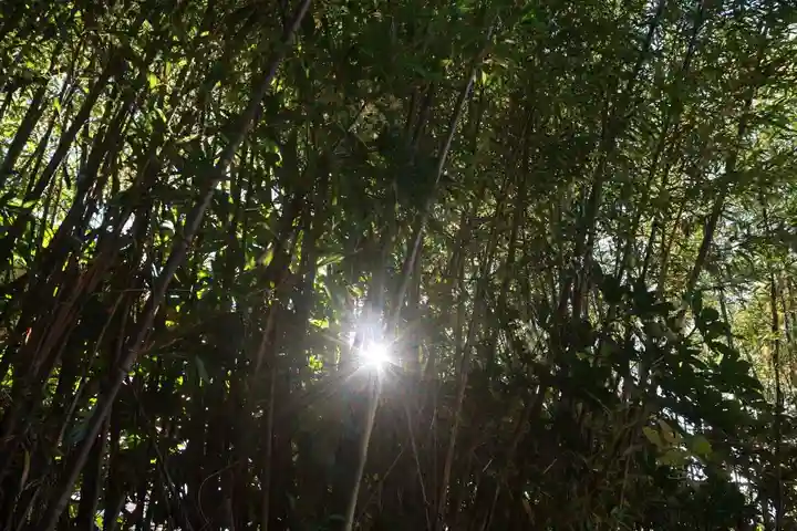 大六天麻王神社の自然