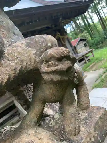 横山神社の狛犬