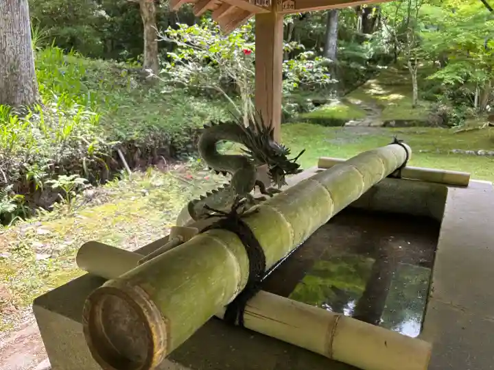 大洞院の{uncategorized: "未分類", other: "その他", undefined: "問題あり", building: "その他建物", grave: "お墓", sacred_gate: "鳥居", guardian: "狛犬", statue: "像", buddha: "仏像", history: "歴史", nature: "自然", garden: "庭園", animal: "動物", pagoda: "塔", temizu: "手水舎", mountain_gate: "山門・神門", sanctuary: "本殿・本堂", subordinate: "末社・摂社", art: "芸術", scenery: "景色", jizo: "地蔵", ema: "絵馬", goshuin: "御朱印", omikuji: "おみくじ", items: "授与品その他", amulet: "お守り", goshuincho: "御朱印帳", eats: "食事", festival: "お祭り", votive_dance: "神楽", shichigosan: "七五三参", wedding: "結婚式", experience: "体験その他", initially: "初詣", around: "周辺", anti_infection: "感染症対策"}
