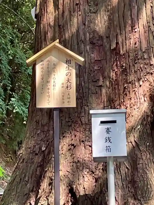丹生川上神社(中社)の{uncategorized: "未分類", other: "その他", undefined: "問題あり", building: "その他建物", grave: "お墓", sacred_gate: "鳥居", guardian: "狛犬", statue: "像", buddha: "仏像", history: "歴史", nature: "自然", garden: "庭園", animal: "動物", pagoda: "塔", temizu: "手水舎", mountain_gate: "山門・神門", sanctuary: "本殿・本堂", subordinate: "末社・摂社", art: "芸術", scenery: "景色", jizo: "地蔵", ema: "絵馬", goshuin: "御朱印", omikuji: "おみくじ", items: "授与品その他", amulet: "お守り", goshuincho: "御朱印帳", eats: "食事", festival: "お祭り", votive_dance: "神楽", shichigosan: "七五三参", wedding: "結婚式", experience: "体験その他", initially: "初詣", around: "周辺", anti_infection: "感染症対策"}