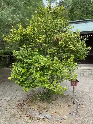 阿波神社(徳島県)