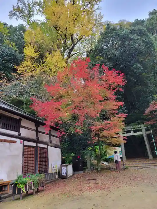 明王院(広島県)