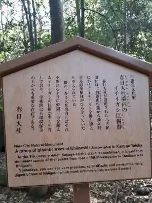 夫婦大國社（春日大社末社）の{uncategorized: "未分類", other: "その他", undefined: "問題あり", building: "その他建物", grave: "お墓", sacred_gate: "鳥居", guardian: "狛犬", statue: "像", buddha: "仏像", history: "歴史", nature: "自然", garden: "庭園", animal: "動物", pagoda: "塔", temizu: "手水舎", mountain_gate: "山門・神門", sanctuary: "本殿・本堂", subordinate: "末社・摂社", art: "芸術", scenery: "景色", jizo: "地蔵", ema: "絵馬", goshuin: "御朱印", omikuji: "おみくじ", items: "授与品その他", amulet: "お守り", goshuincho: "御朱印帳", eats: "食事", festival: "お祭り", votive_dance: "神楽", shichigosan: "七五三参", wedding: "結婚式", experience: "体験その他", initially: "初詣", around: "周辺", anti_infection: "感染症対策"}