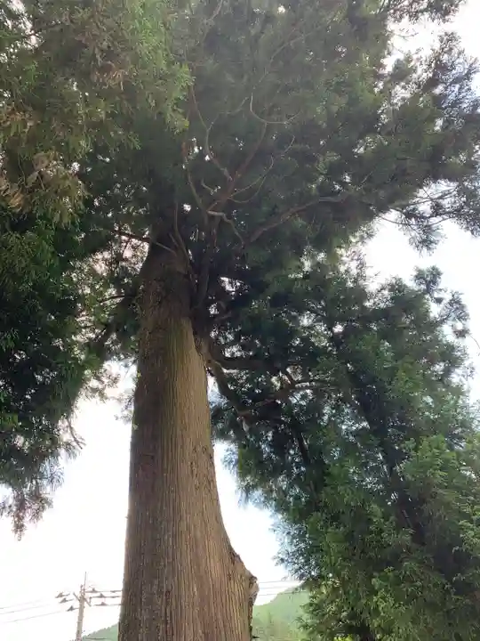 大葦神社の自然