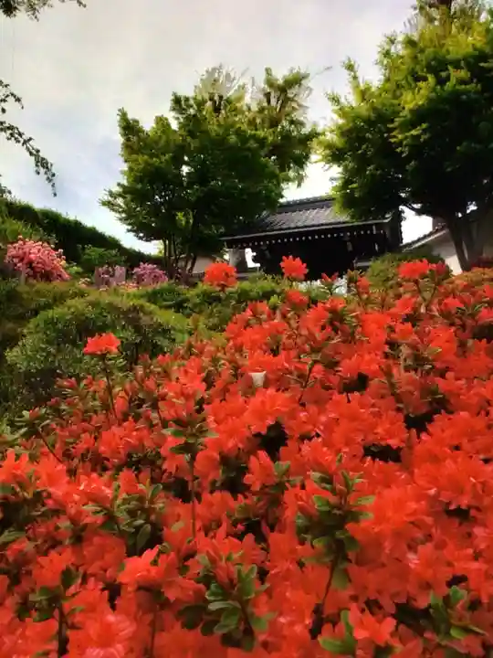 神足寺(東京都)