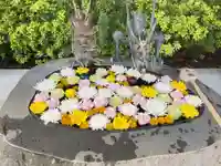 駒込妙義神社(東京都)