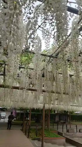 曼陀羅寺の庭園