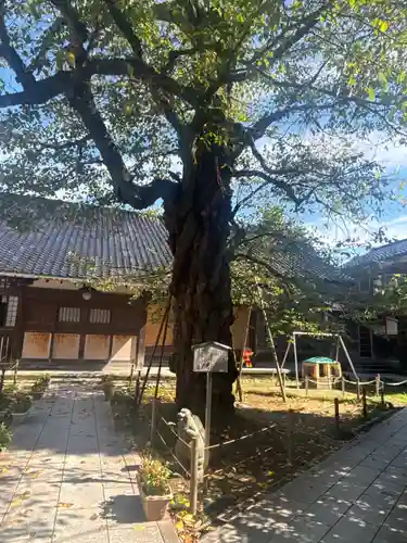 玉竜寺(石川県)