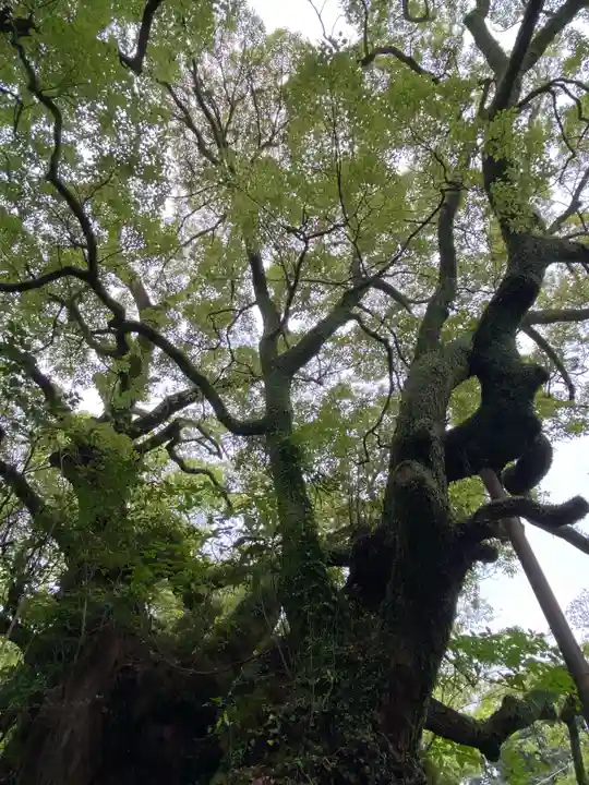 富知六所浅間神社(静岡県)