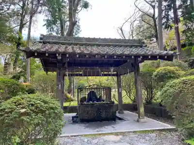園城寺（三井寺）の手水舎