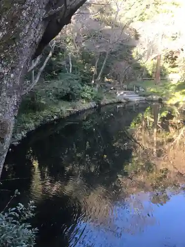 鶴岡八幡宮の庭園