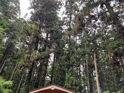 大宮温泉神社(栃木県)