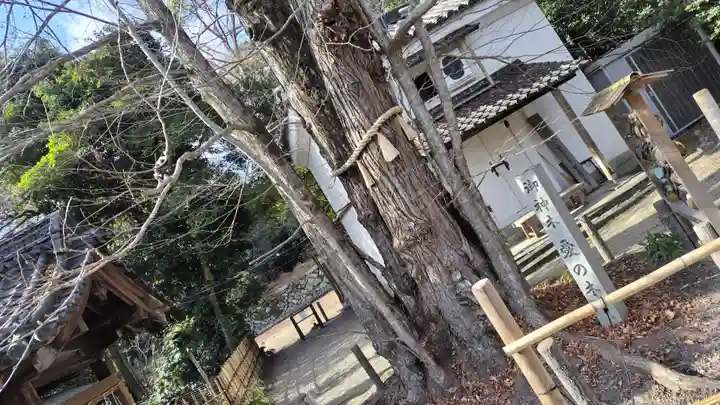 梨木神社(京都府)