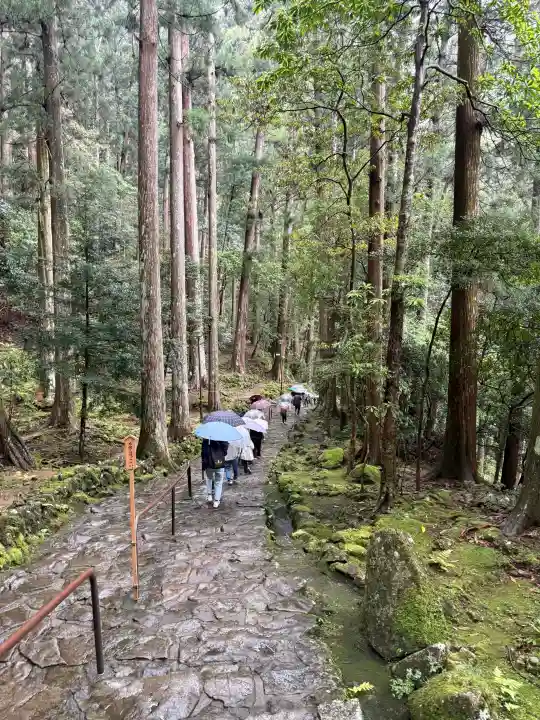飛瀧神社(熊野那智大社別宮)の{uncategorized: "未分類", other: "その他", undefined: "問題あり", building: "その他建物", grave: "お墓", sacred_gate: "鳥居", guardian: "狛犬", statue: "像", buddha: "仏像", history: "歴史", nature: "自然", garden: "庭園", animal: "動物", pagoda: "塔", temizu: "手水舎", mountain_gate: "山門・神門", sanctuary: "本殿・本堂", subordinate: "末社・摂社", art: "芸術", scenery: "景色", jizo: "地蔵", ema: "絵馬", goshuin: "御朱印", omikuji: "おみくじ", items: "授与品その他", amulet: "お守り", goshuincho: "御朱印帳", eats: "食事", festival: "お祭り", votive_dance: "神楽", shichigosan: "七五三参", wedding: "結婚式", experience: "体験その他", initially: "初詣", around: "周辺", anti_infection: "感染症対策"}
