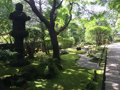 報国寺の庭園