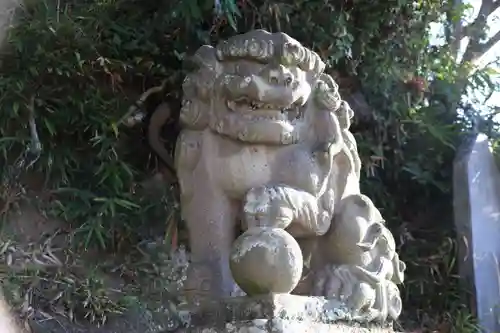 阿久津「田村神社」（郡山市阿久津町）旧社名：伊豆箱根三嶋三社の狛犬