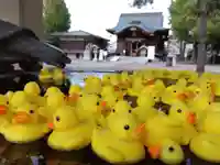 杉杜白髭神社(福井県)