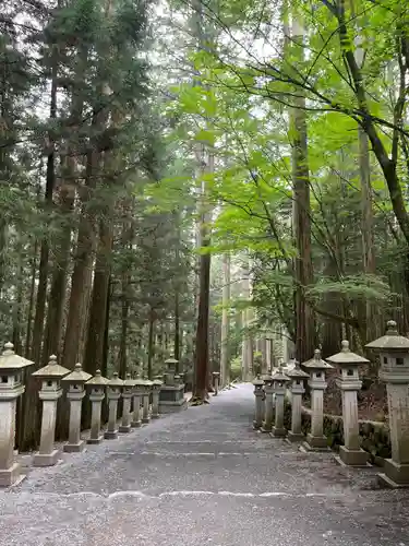 三峯神社(埼玉県)