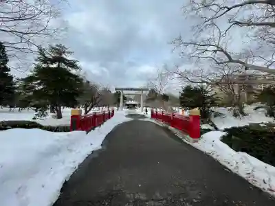 札幌護國神社の鳥居