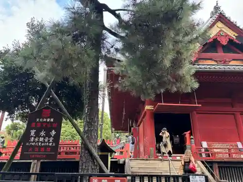 清水観音堂(東京都)