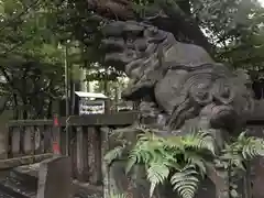 西久保八幡神社の狛犬