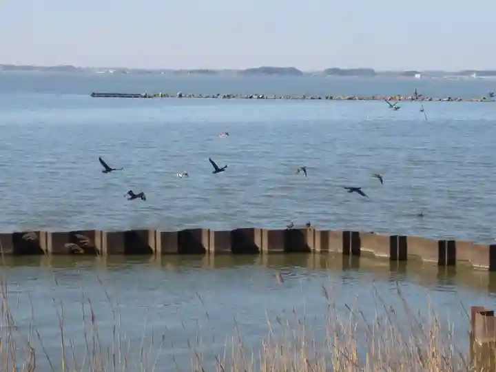 金刀比羅神社の周辺