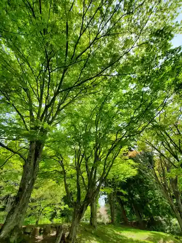 土津神社｜こどもと出世の神さまの景色