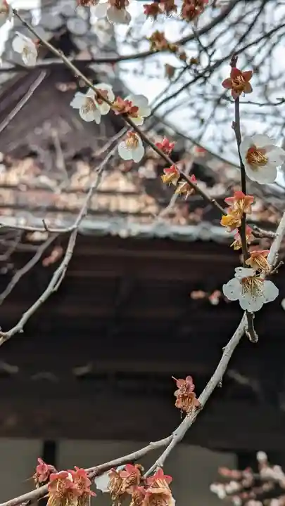 東北院(京都府)