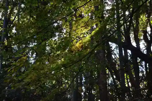 大鳥羽神社(山口県)