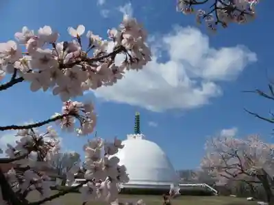 妙法寺(福井県)