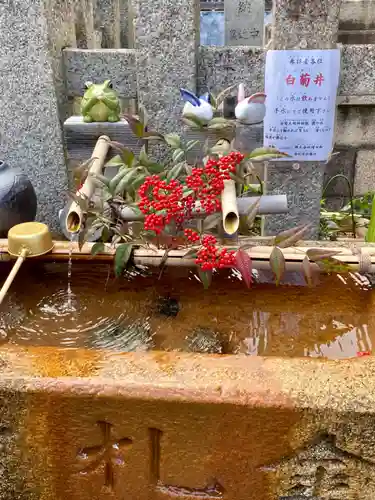 金札宮の手水舎