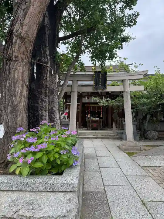 飛木稲荷神社(東京都)