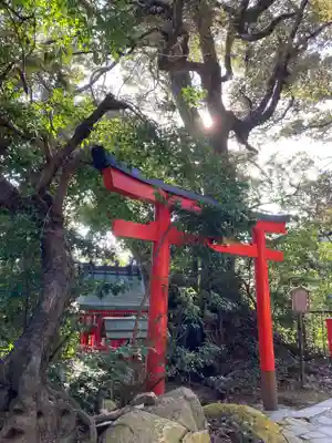 竹生島神社(都久夫須麻神社)の鳥居